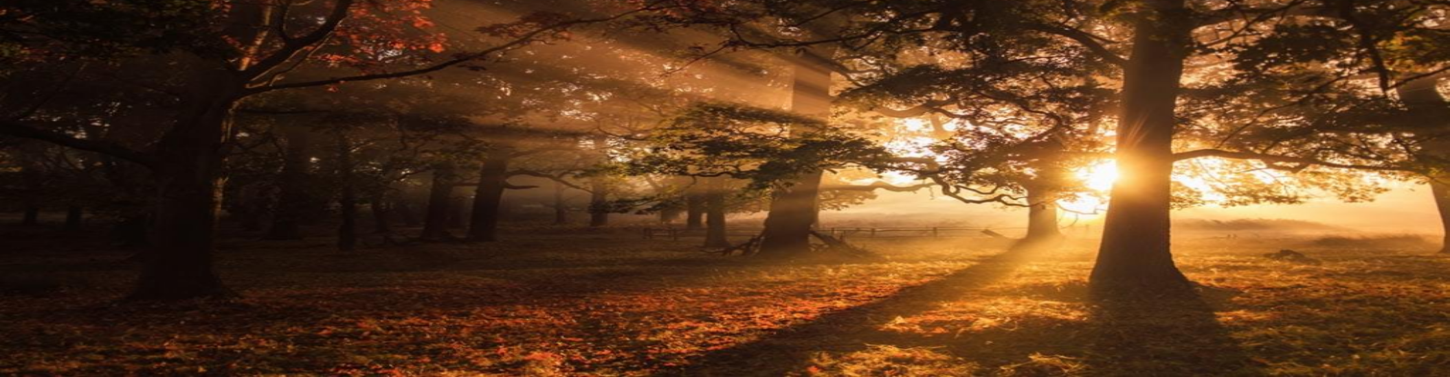 107 Why Did God Wait So Long to Send Jesus to Earth? Theology For the Rest of Us